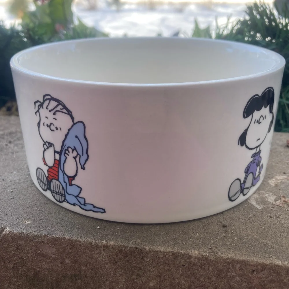 The peanuts pets bowl